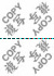 �R�s�[�U���h�~�w���ʁECOPY�x�Q�����~�V���ړ���̐}