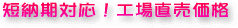 �Z�[���Ή��I�H�꒼�����i