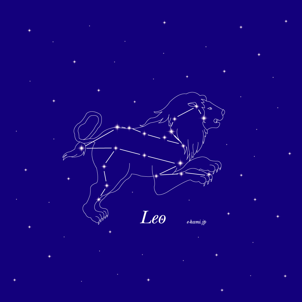 Leo for iPad